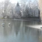 l'étang en hiver